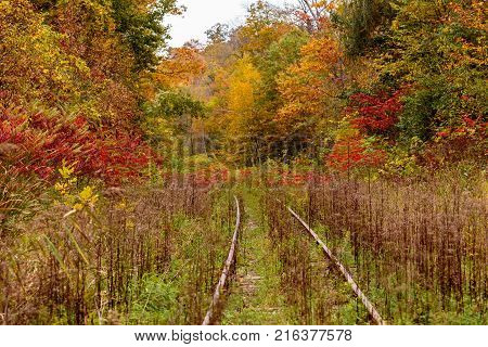 An old overgrown abandoned bygone railway track in Hudson Quebec Canada, surrounded by a blaze of fall colors.
