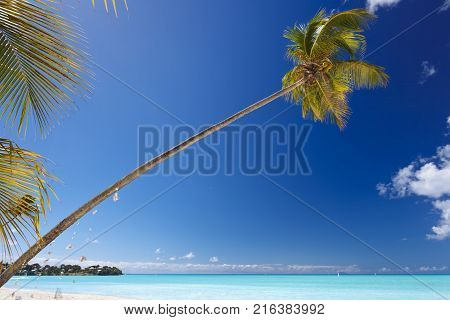 Little Island In Very Calm Sea, Antigua