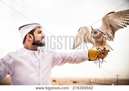 Arabian man walking in the desert at sunrise