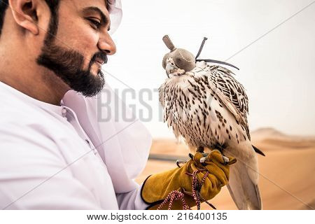 Arabian man walking in the desert at sunrise