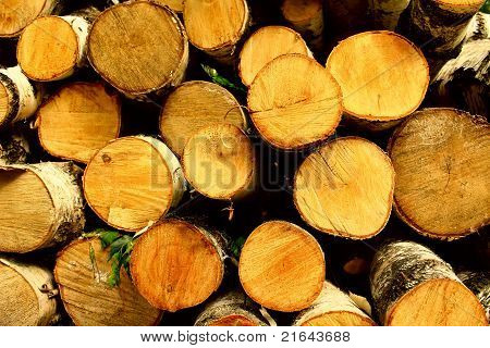 Brennholz