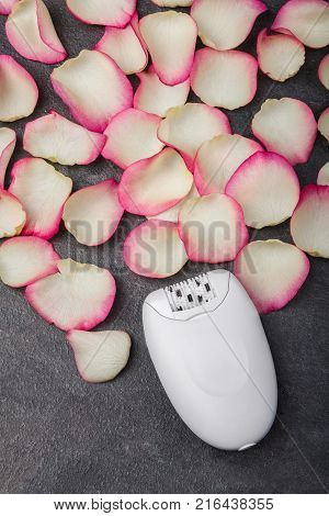 Close-up of a female epilator lies near pink rose petals, on a gray background. Depilation.