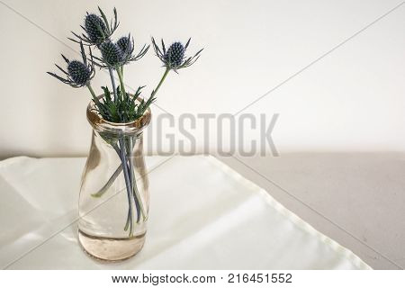 Unusual blue flowers arranged in an old cream bottle on white tablecloth and white background.