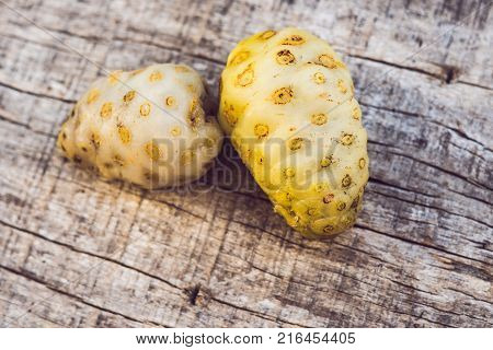 Unusual Asian Edible Plant. Porous Inside. Vietnamese Lulis Eat