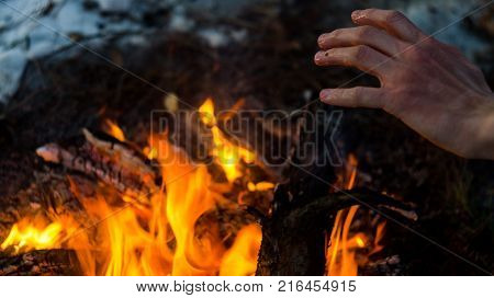 The adult man warms hands around the campfire in forest.