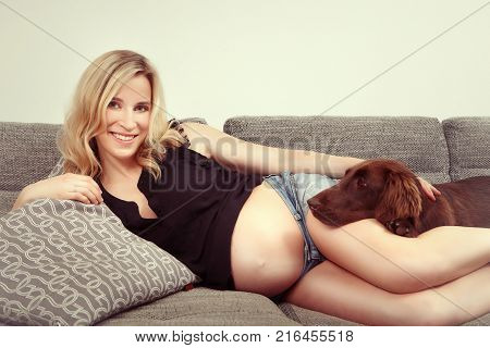 Pregnant young beauty awaiting her newborn guarded by her dog friend