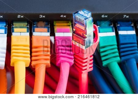 Colorful network cables connected to a switch