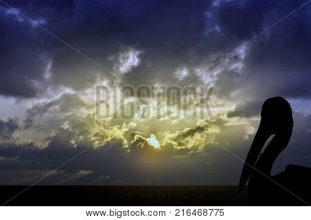Silhouette of a wild pelican with dramatic sunrise over the ocean - Los Cocoteros, Lanzarote, Canary Islands, Spain