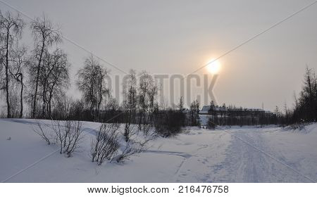 Winter evening landskape with snow, forest and cold sun. Frosty sundown