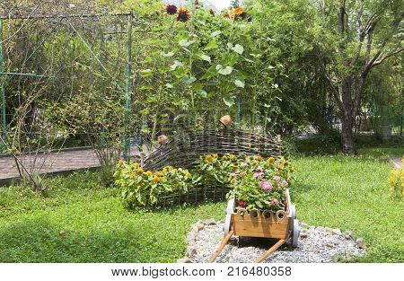 Dederkoy, Tuapse district, Krasnodar region, Russia - 14 July 2013: Landscaping the pension Green Guy