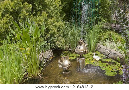 Dederkoy, Tuapse District, Krasnodar Region, Russia - July 14, 2013: Goldfish in the landscape design of pension Green Guy