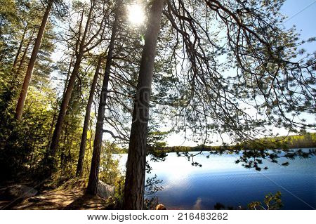 Beautiful lake in the national park Repovesi Finland South Karelia