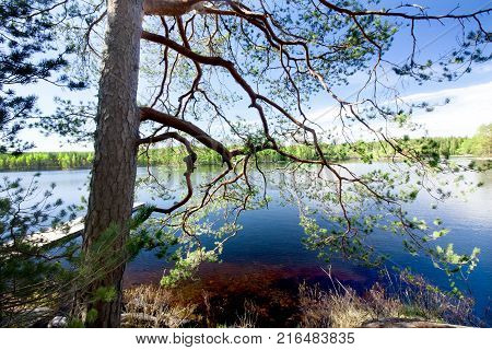 Beautiful Lake In The National Park Repovesi, Finland, South Karelia.