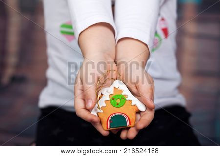 Little girl with beautiful Christmas dress holding gingerbred cookie - Christmas concept