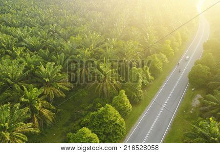 Aerial View Of Mount Baling, With Padding Field View Before Sunrise.