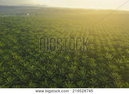 Aerial View Of Mount Baling, With Padding Field View Before Sunrise.