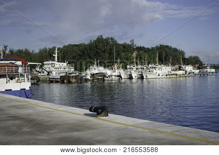Ships resting at the Harbor or Port