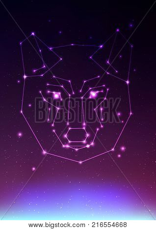 Wolf constellation vector illustration. Face of a wolf in constellations and star on cosmos with Northern Lights. Wolfs in deep dark sky with line and shiny dots and Earth light silhouette, vector illustration