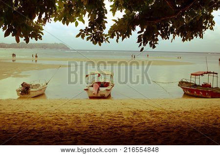 Small Boats on a Beach framed by leaves