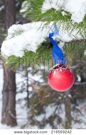 Christmas tree with snow and red christmas ball outdoor in winter forest. New Year.