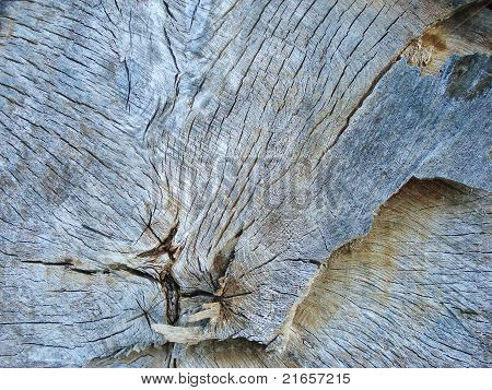 Leikkaa oak