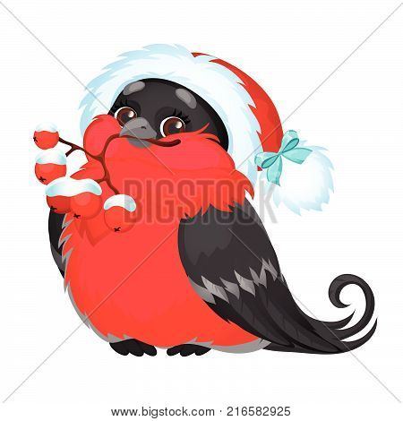 Happy bullfinch holds in its beak a twig of red rowan berries isolated on white background. Sample of poster, party holiday invitation, festive banner, card. Vector cartoon close-up illustration.