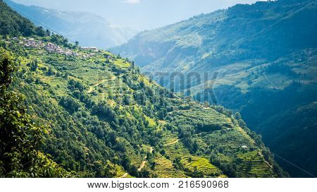 Beautiful bright landscape with green mountain field of rice in nepal