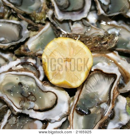 Ostras frescas pronta para comer
