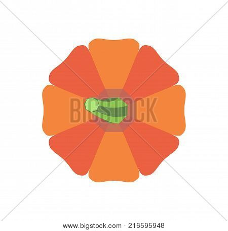 Halloween pumpkin with green stem top view, healthy organic autumn vegetable isolated cartoon flat vector illustration on white background.