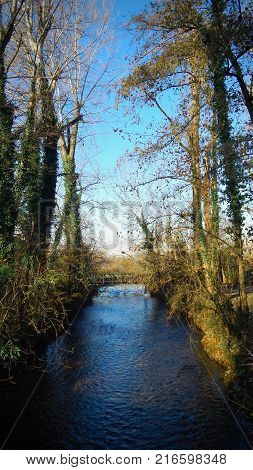 Wooden bridge on the water with trees in autumn