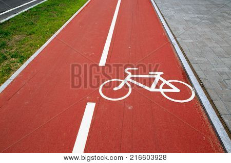 Red Bike Path In St. Petersburg Near The Stadium.