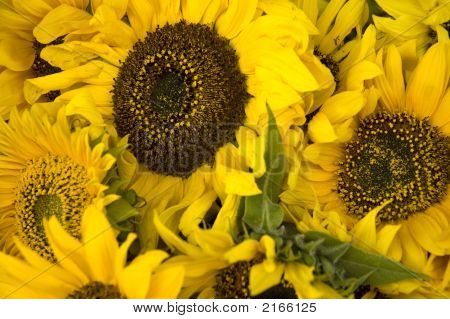 Bloemen