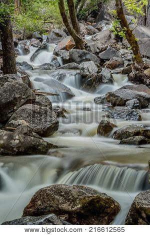 The Top Of Proxy Falls Through Trees