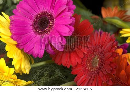 Blumen