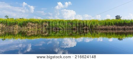reflection sunhemp low angle on blue sky.