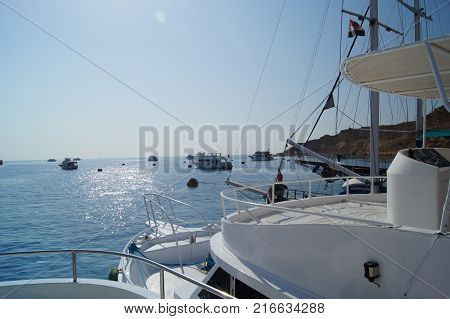 White yachts on a sunny day in the Red Sea in Egypt.