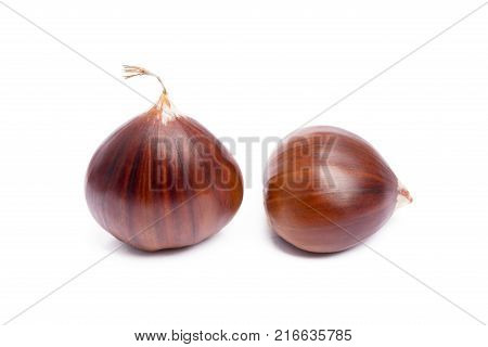Tasty ripe chestnuts isolated on white background