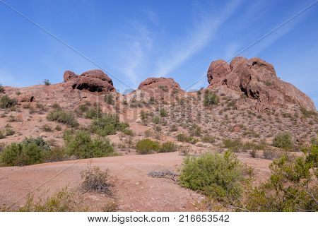 The beautiful Sonoran Desert at Papago Park in Phoenix