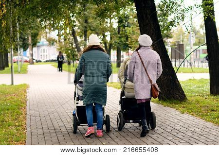 Two young moms girlfriends are walking with young children in strollers for an autumn Park. Women on a walk with the kids, the view from the back