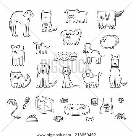 Vector set of different dog breeds. Items for caring for a pet and feeding. Funny caricature animals characters. Contour isolated black and white sketch illustration. The inscription and heart