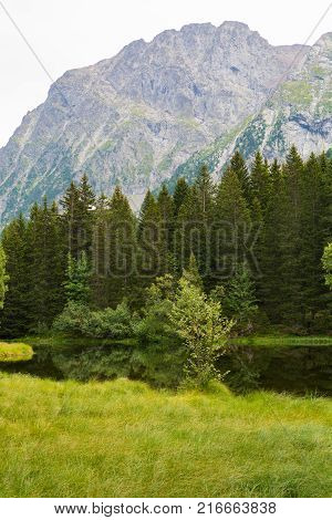 Small Forest Lake In Alpen Mountains, Place For Relaxation And Tranquil Vacation