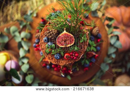 Colorful Macaroons On A Round Wood Log