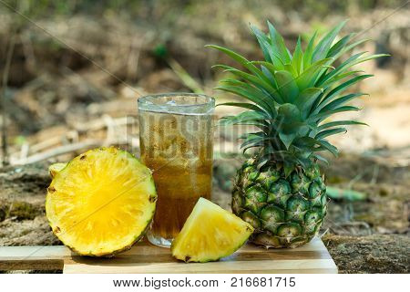 Pineapple juice in the forest.Juice on the Big Bang