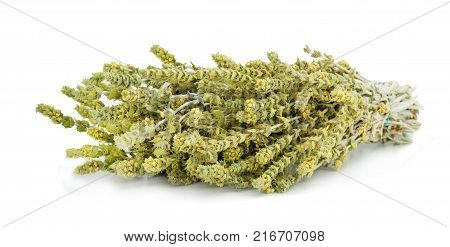 Fresh green Basil herb leaves isolated on white background. Basilicum plant concept. Copy space.