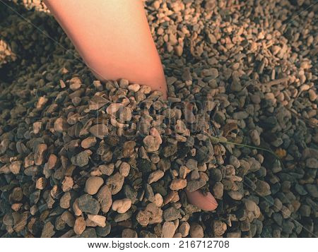 White Line Marks Painted On Artificial Green Turf Background. Playfield Border.