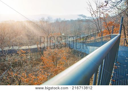 autumn forest, Safari Park, it highest bridge to walking people. Russia. Primorskiy Kray