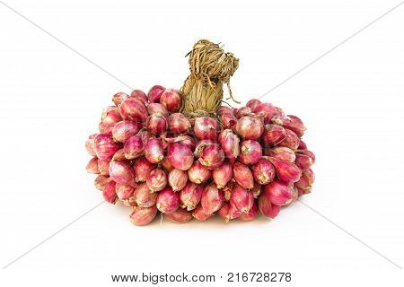 fresh shallots or onion, herb and vegetable, food ingredient