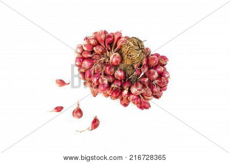 fresh shallots or onion, herb and vegetable, food ingredient