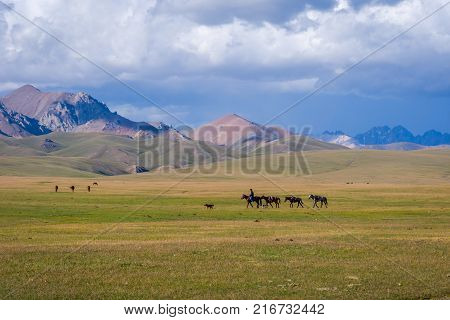 Man Guiding Horses, Song Kul Lake