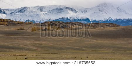 Panorama of the Kurai steppe in the autumn against the backdrop of towering snow peaks. Russia, Siberia, the Republic of Altai.